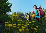 77 Tra fiori di vetta...